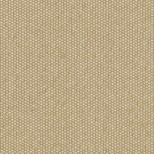 #צבע_060-140 #צבע_060-140