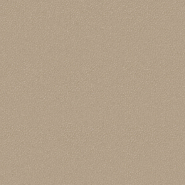 #צבע_10987-813 #צבע_10987-813