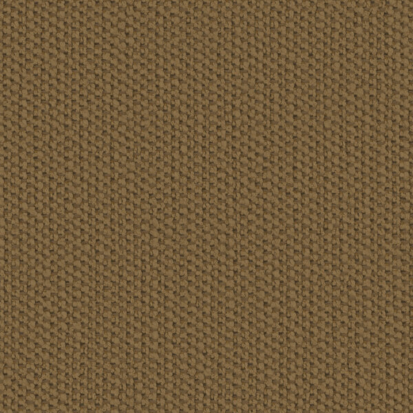 #צבע_11029-816 #צבע_11029-816