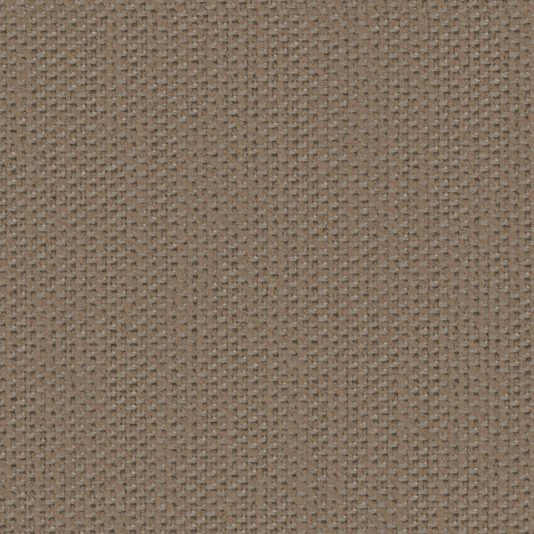 #צבע_11029-834 #צבע_11029-834