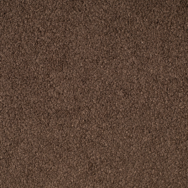 #צבע_11 #צבע_11