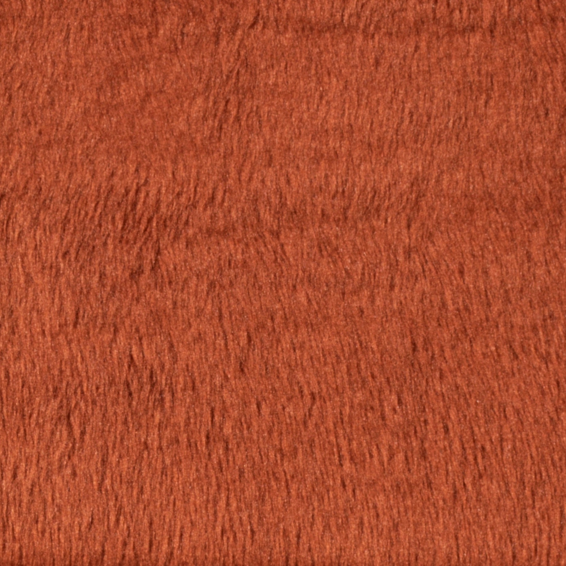 #צבע_12 #צבע_12