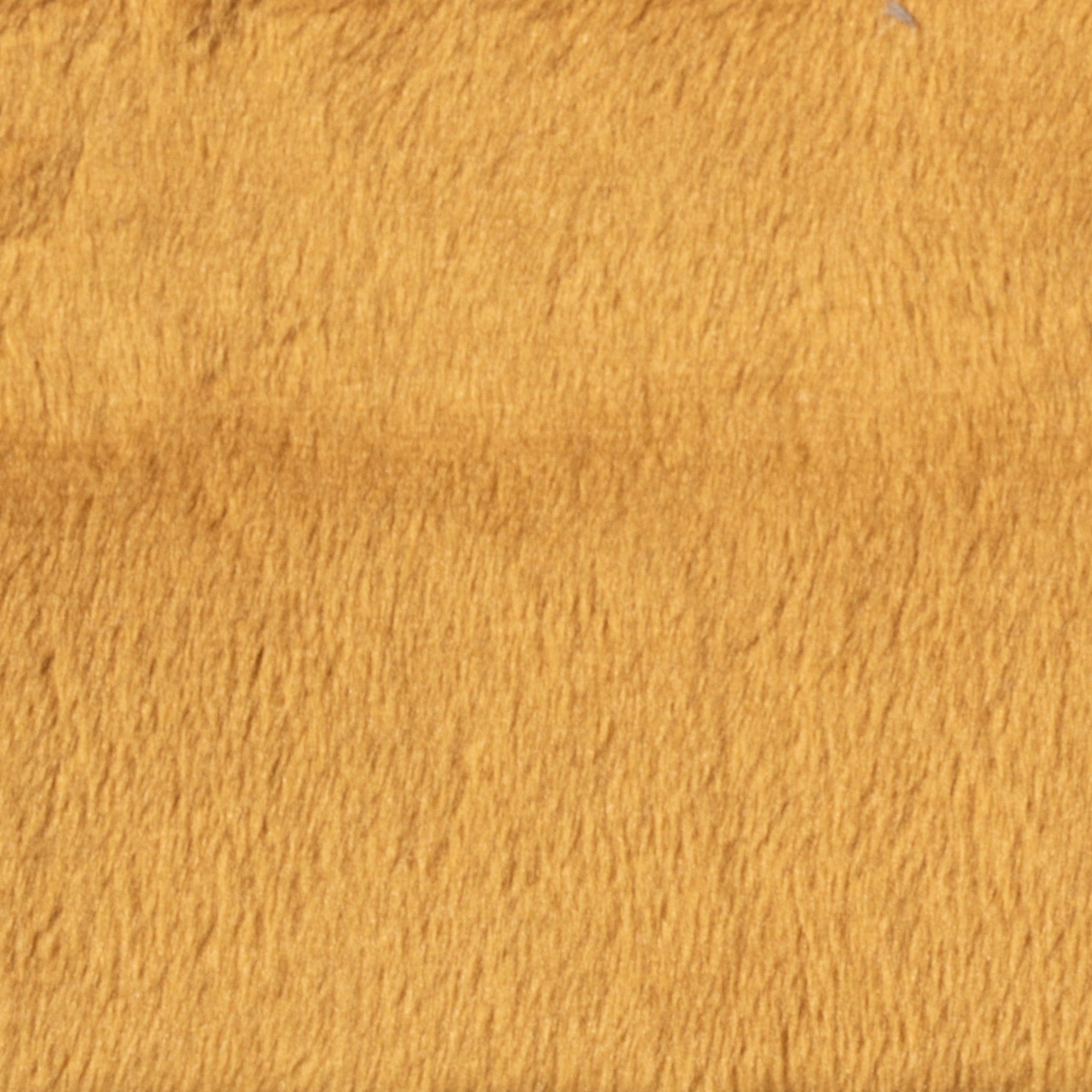 #צבע_13 #צבע_13