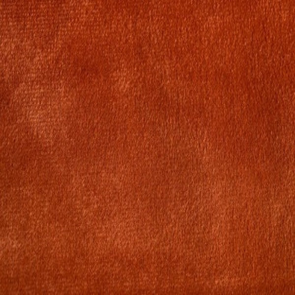 #צבע_301 #צבע_301