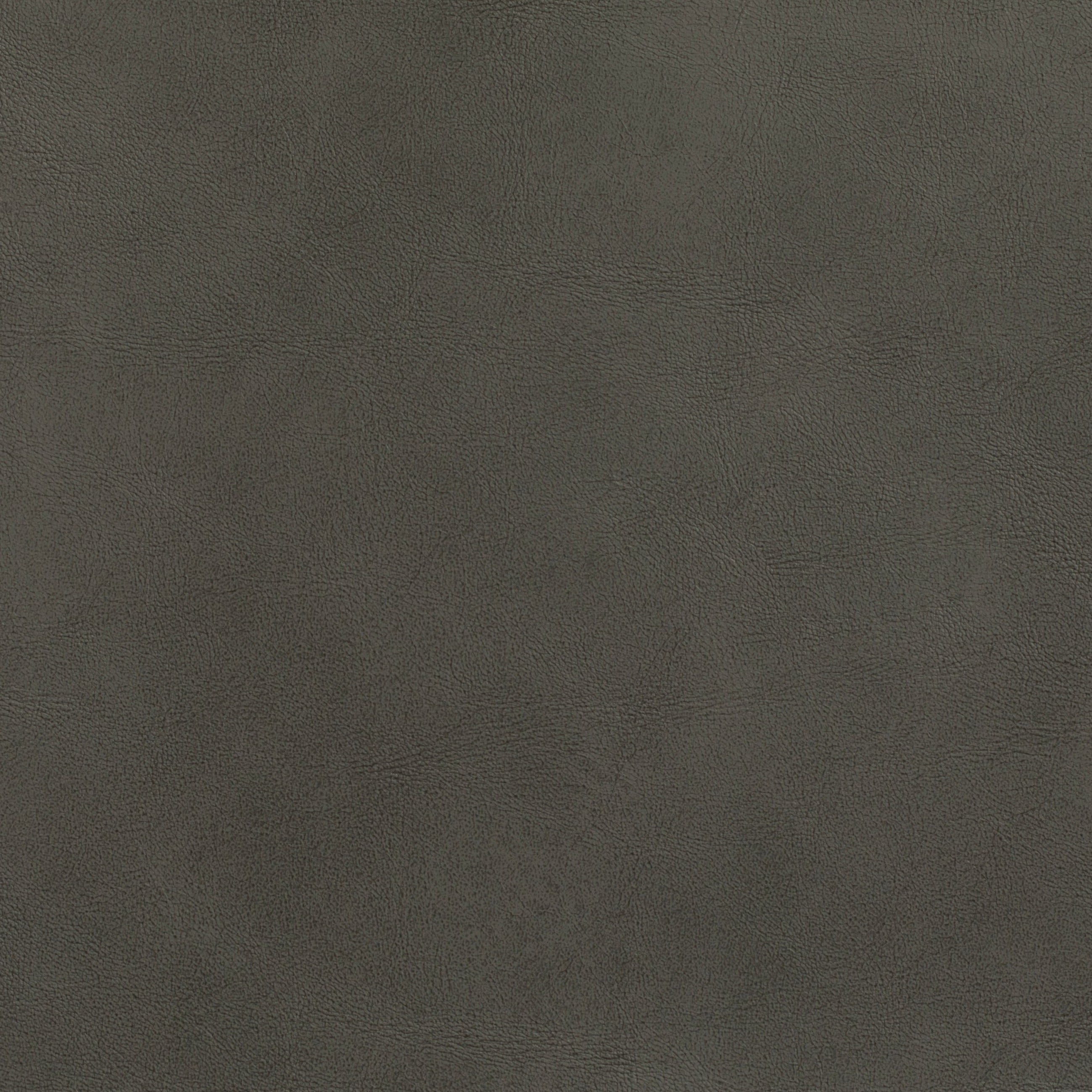 #צבע_306 #צבע_306