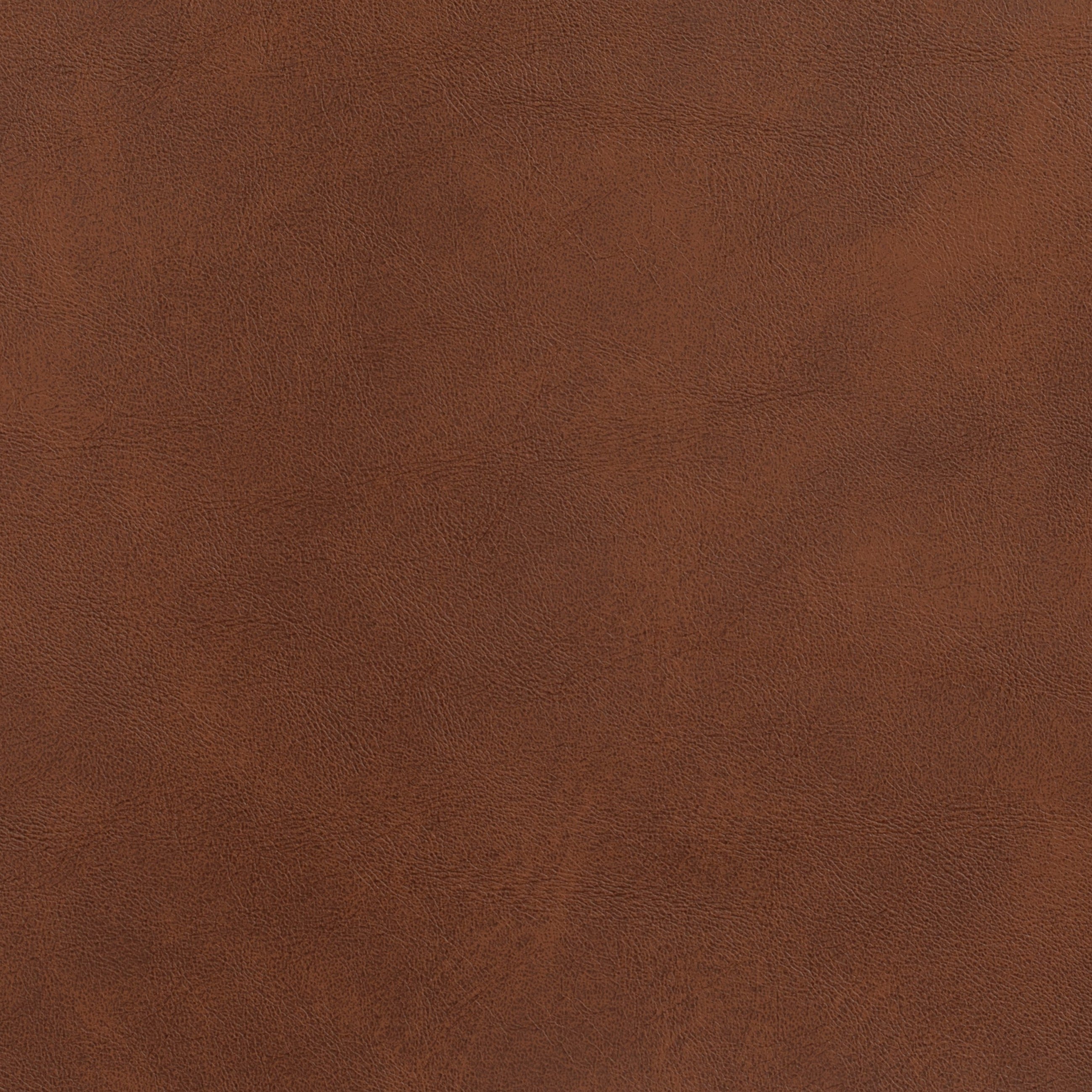 #צבע_307 #צבע_307