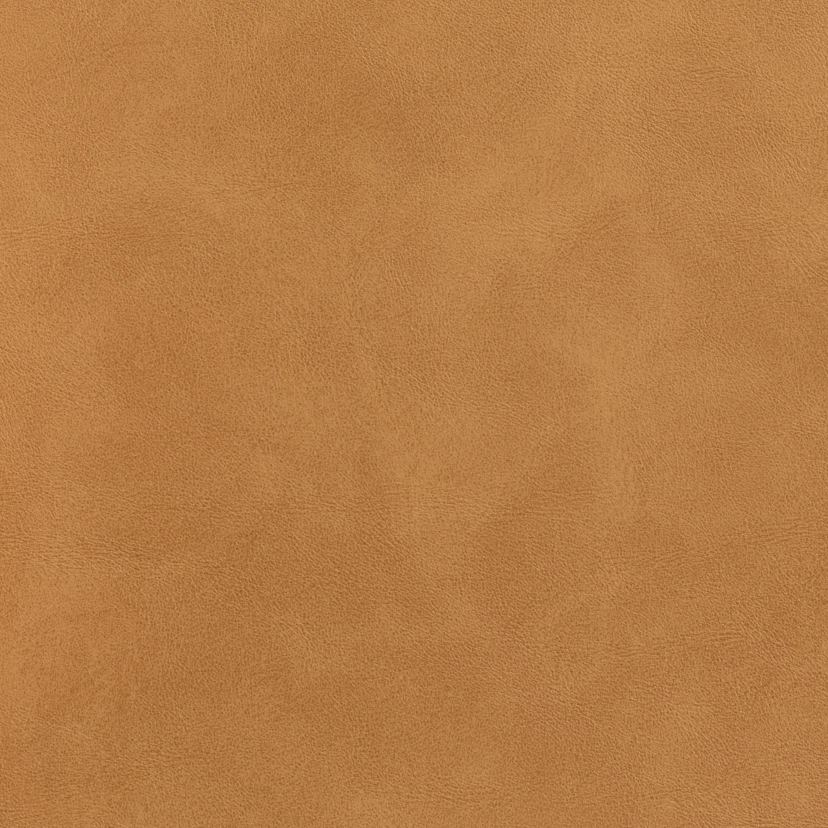 #צבע_310 #צבע_310