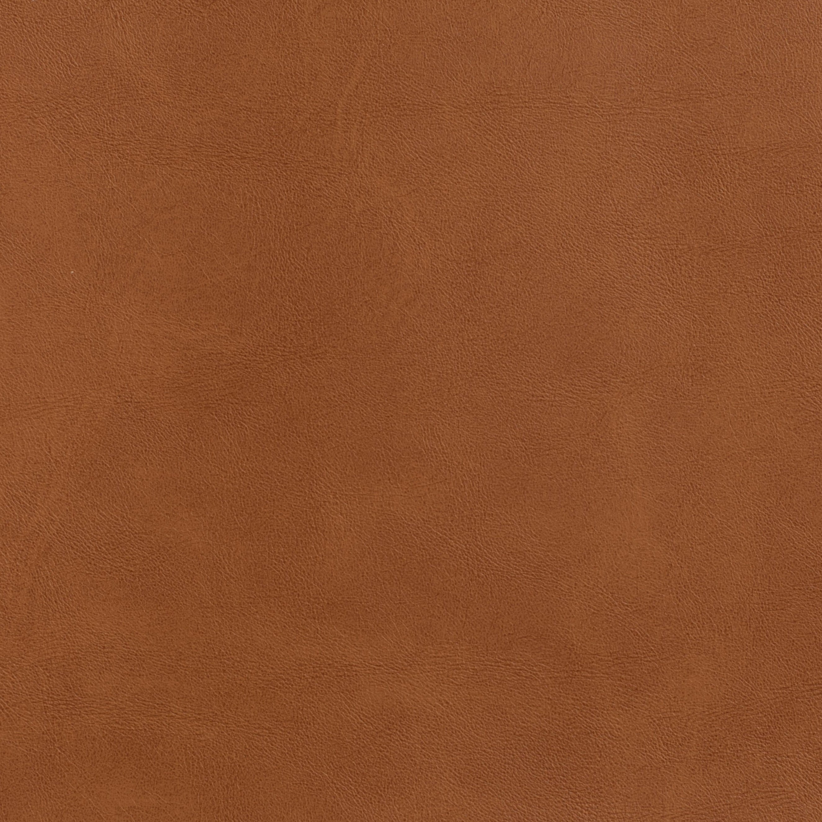 #צבע_322 #צבע_322