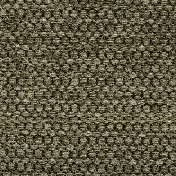 #צבע_355 #צבע_355