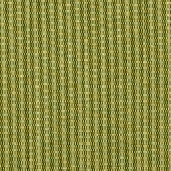 #צבע_3970-137 #צבע_3970-137