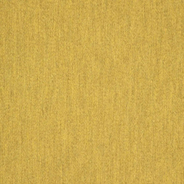 #צבע_40501-0008 Saffron #צבע_40501-0008 Saffron