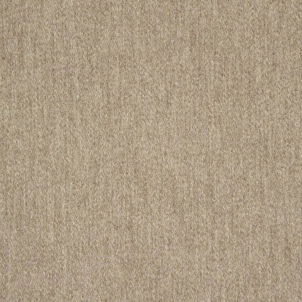 #צבע_40501-0012 Alpaca #צבע_40501-0012 Alpaca