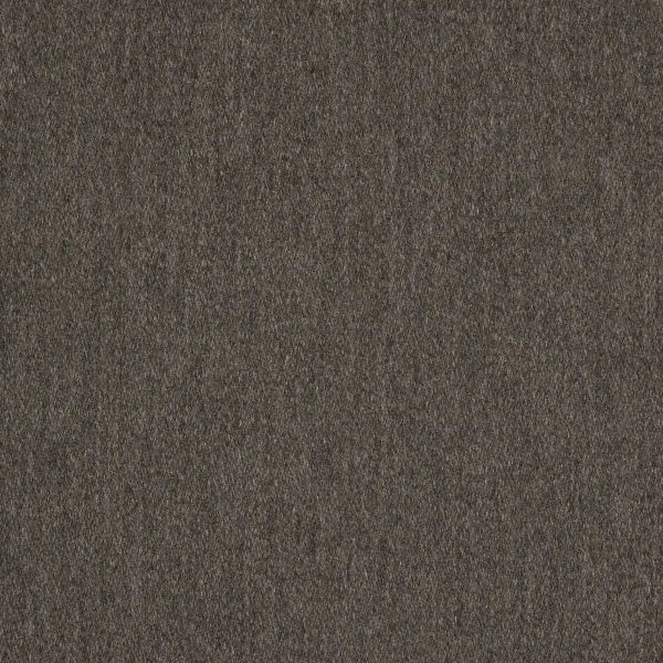 #צבע_40501-0014 Coal #צבע_40501-0014 Coal