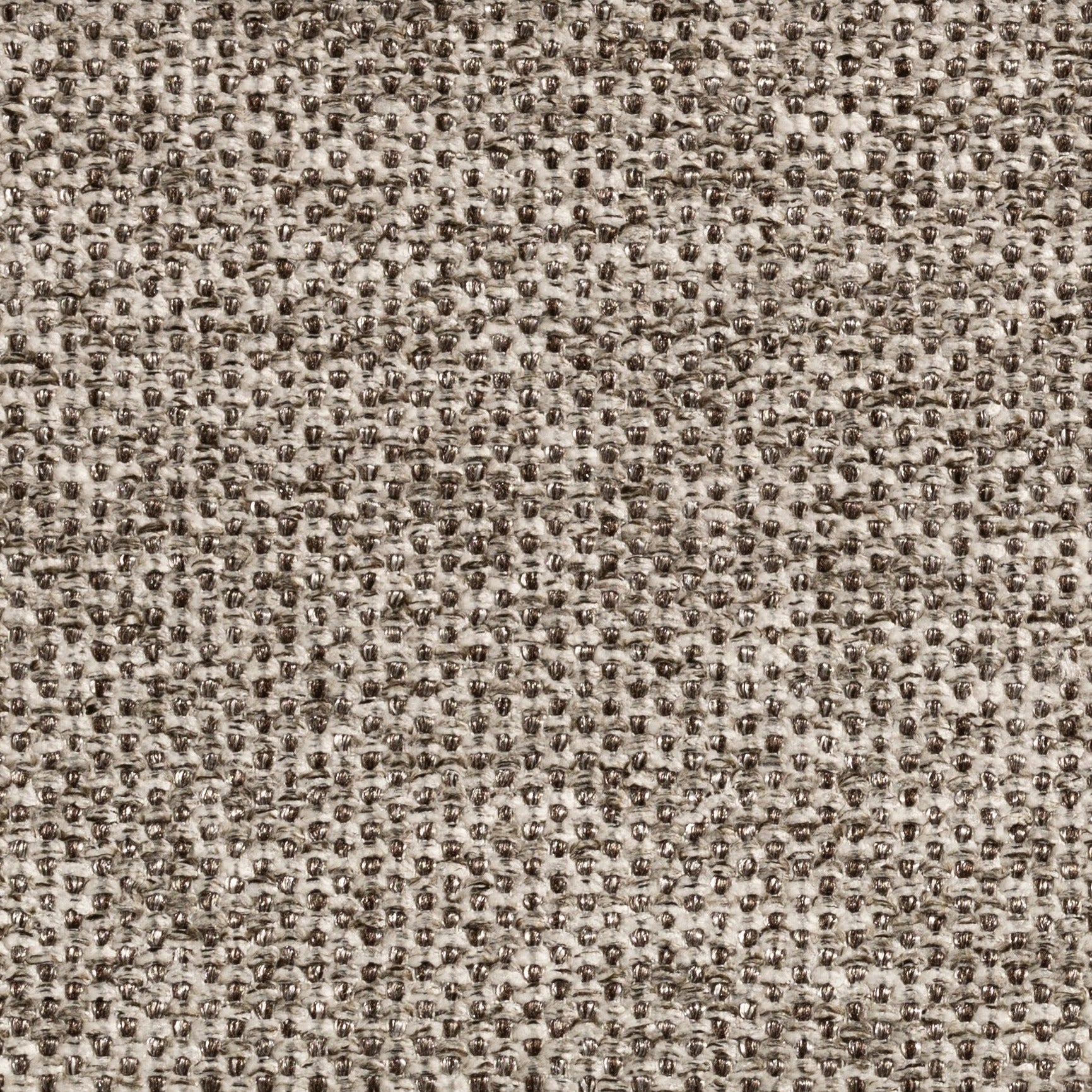 #צבע_421 #צבע_421