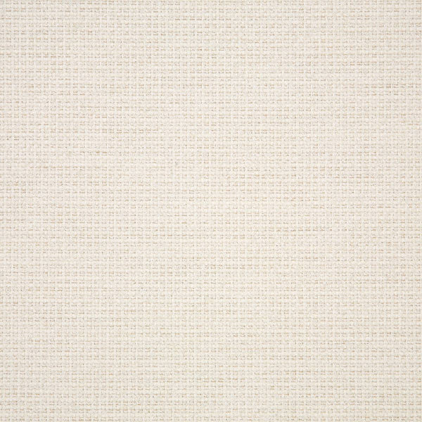 #צבע_42102-0001 White