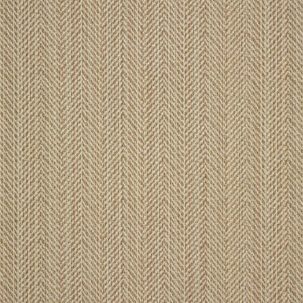 #צבע_44157-0014 Lichen #צבע_44157-0014 Lichen