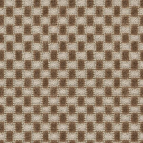 #צבע_44221-885 #צבע_44221-885