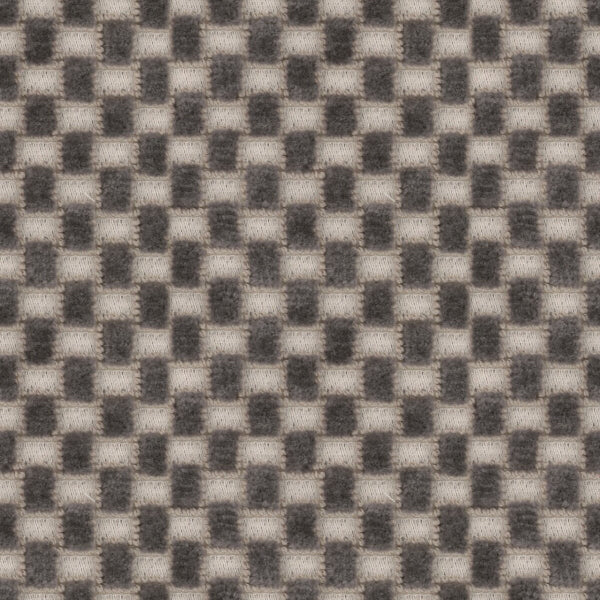 #צבע_44221-988 #צבע_44221-988