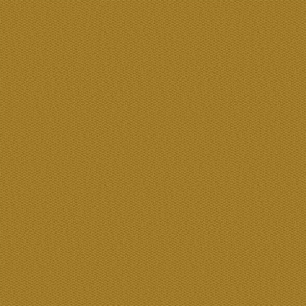 #צבע_ 443 #צבע_ 443