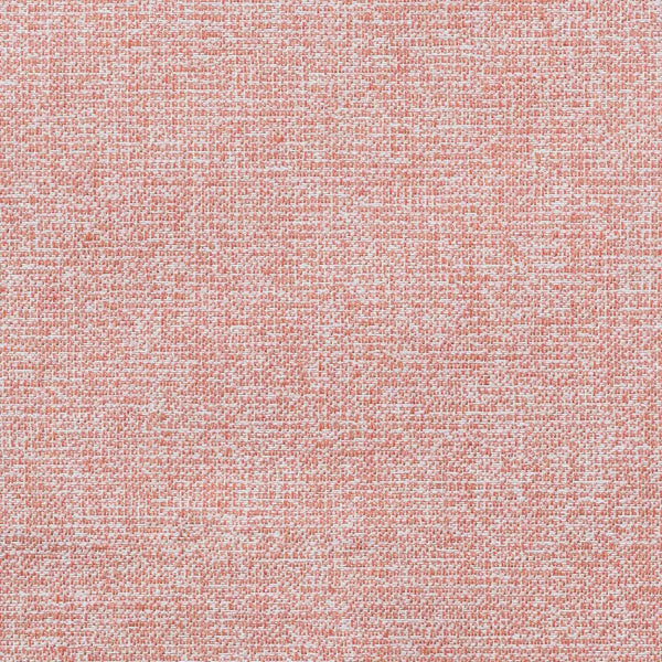 #צבע_44482-0008 Coral #צבע_44482-0008 Coral