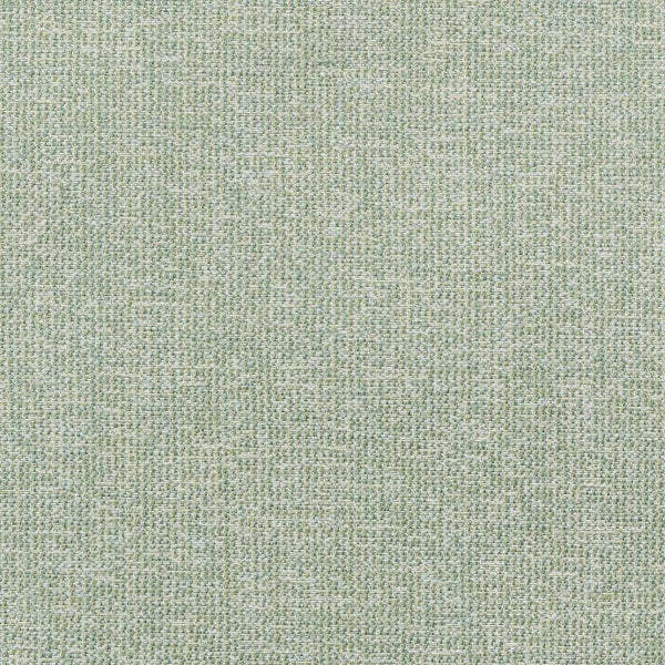 #צבע_44482-0009 Moss #צבע_44482-0009 Moss
