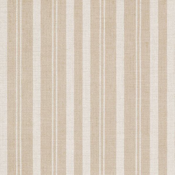 #צבע_44493-0002 Camel #צבע_44493-0002 Camel