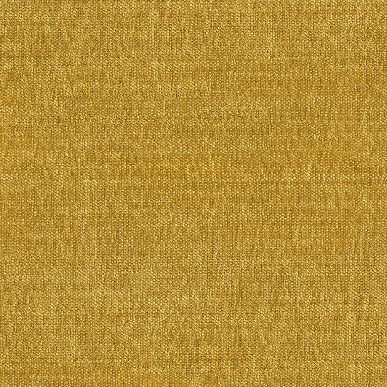 #צבע_445 #צבע_445