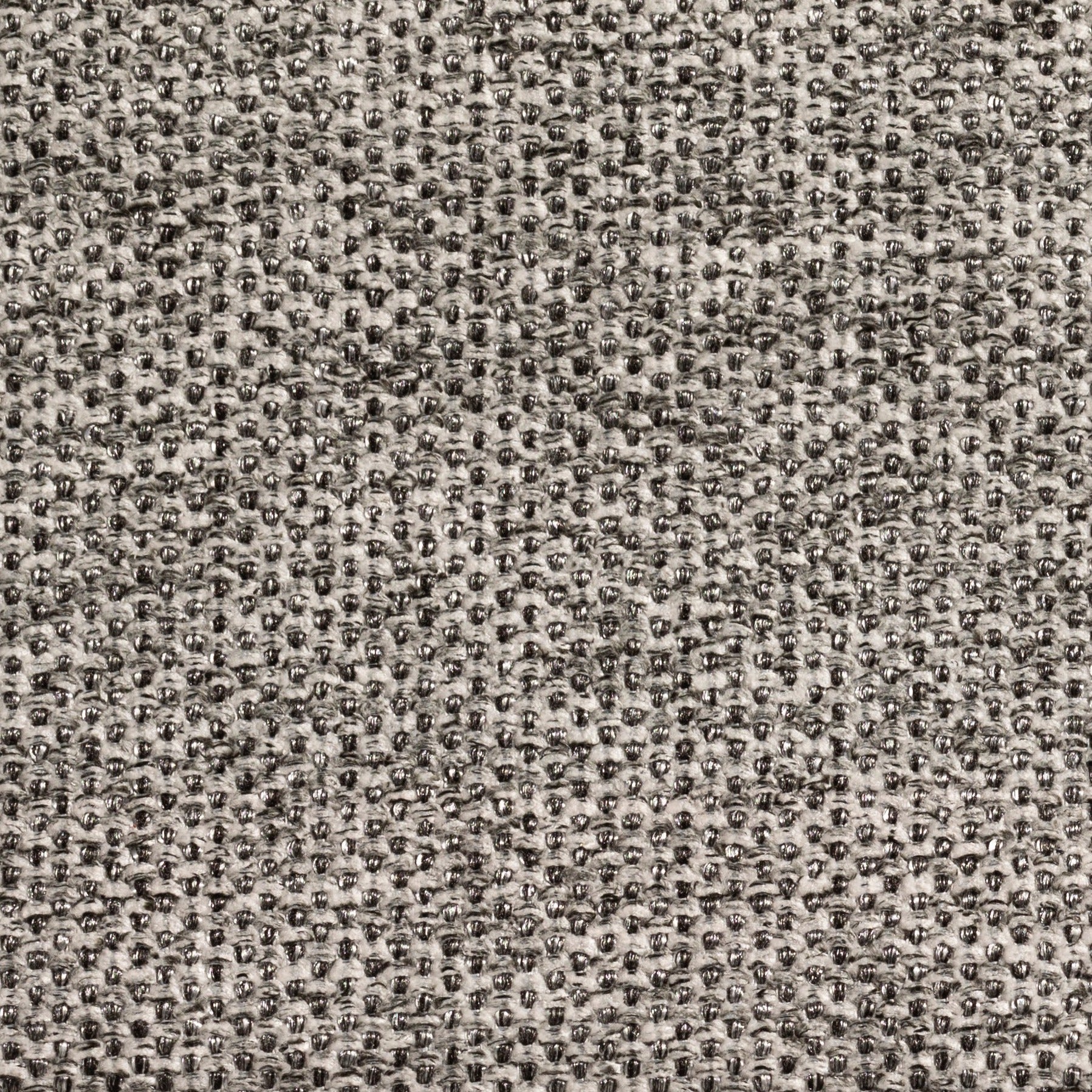 #צבע_450 #צבע_450