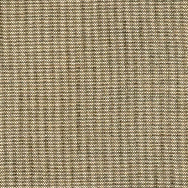 #צבע_4800900-137 #צבע_4800900-137