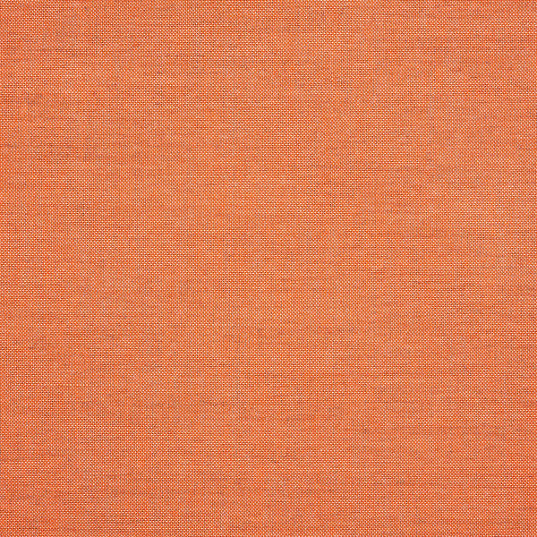 #צבע_48108-0000 Coral #צבע_48108-0000 Coral