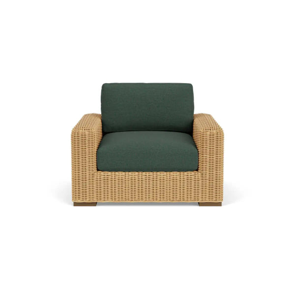 #צבע_48141-0000 Ivy #צבע_48141-0000 Ivy