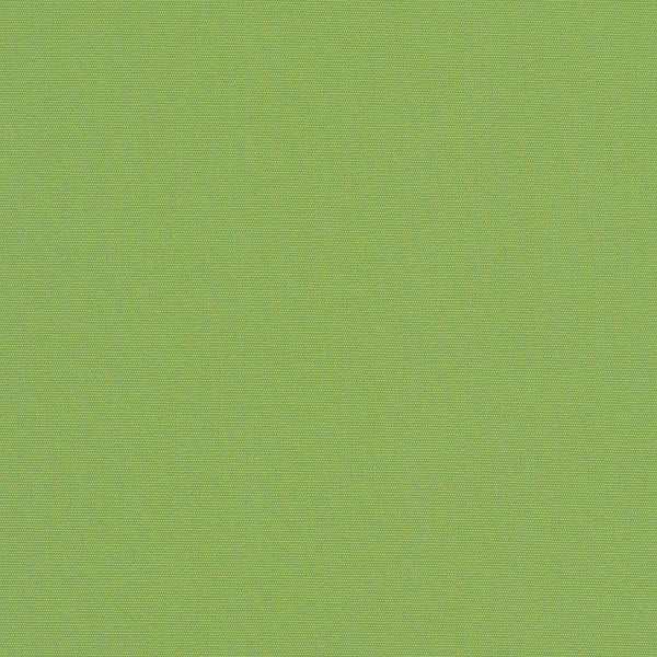 #צבע_54011-0000 Ginkgo #צבע_54011-0000 Ginkgo