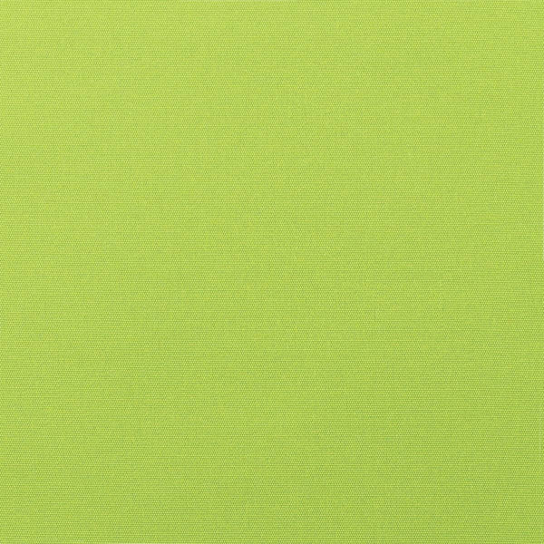 #צבע_5429-0000 Macaw #צבע_5429-0000 Macaw