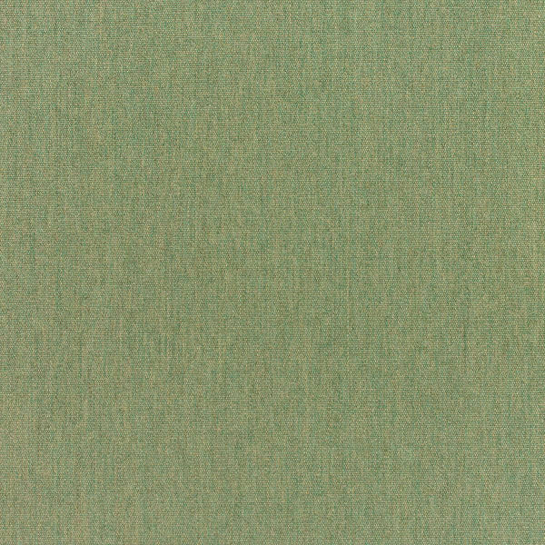 #צבע_5487-0000 Fern #צבע_5487-0000 Fern