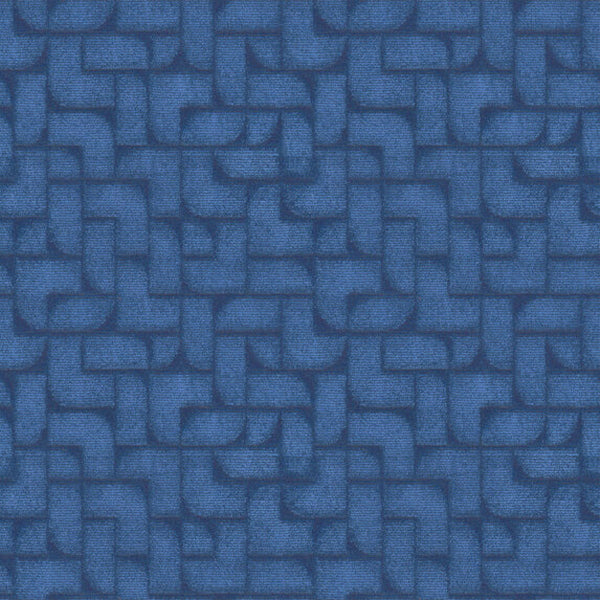 #צבע_556 #צבע_556