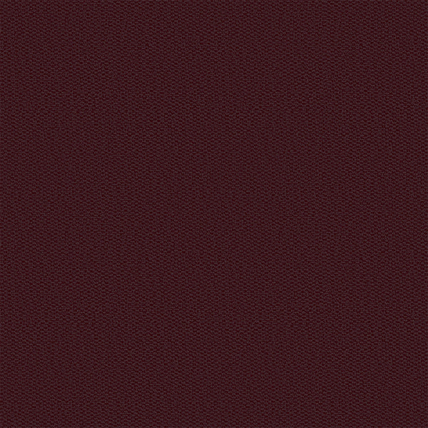 #צבע_ 557 #צבע_ 557