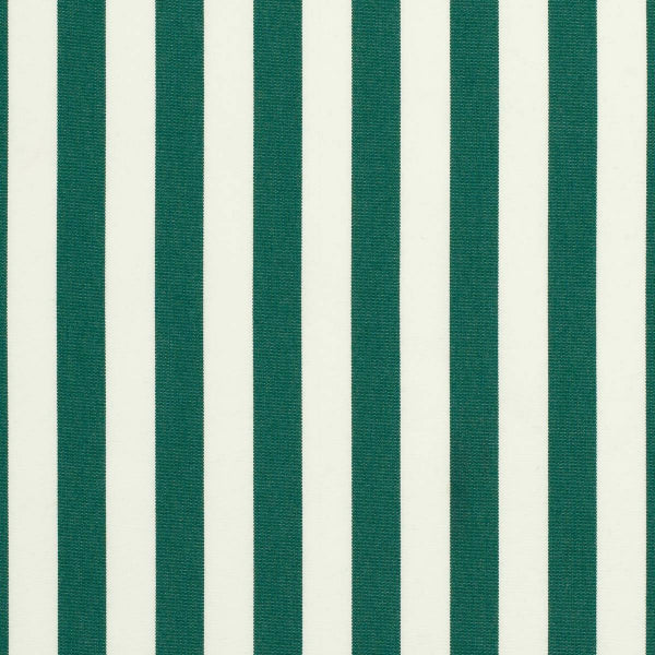 #צבע_5630-0000 Forest Green