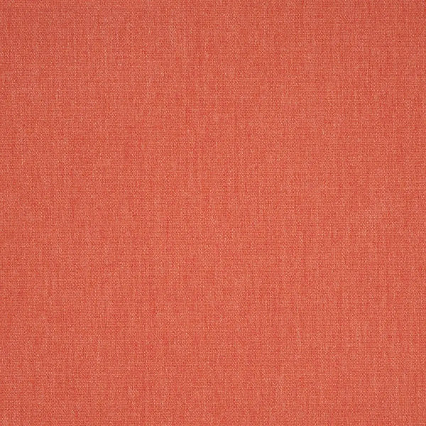 #צבע_57013-0000 Persimmon #צבע_57013-0000 Persimmon