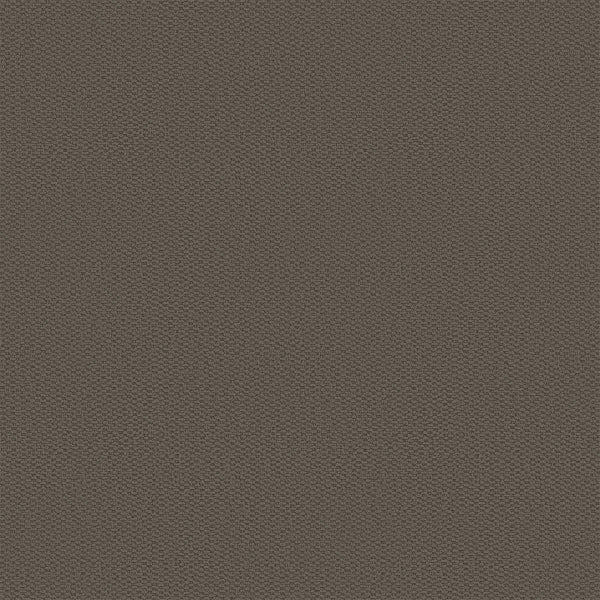 #צבע_ 793 #צבע_ 793