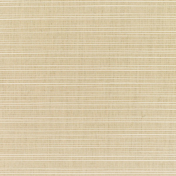 #צבע_8011-0000 Sand