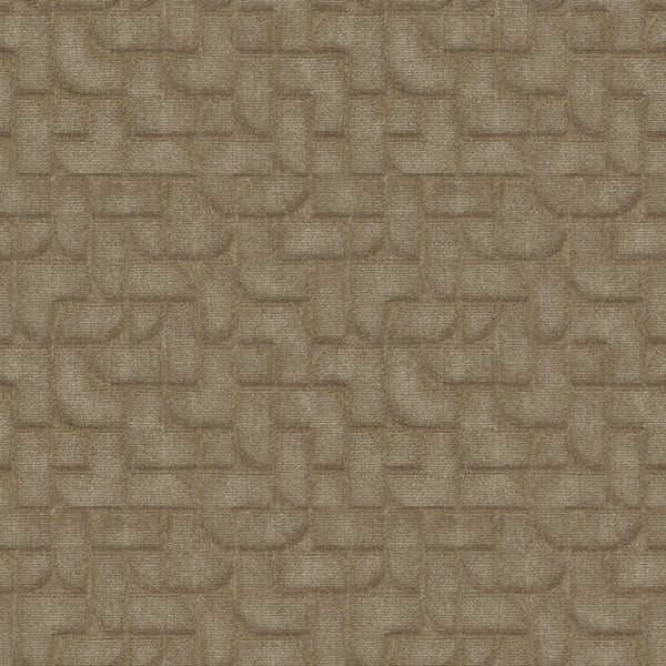 #צבע_886 #צבע_886