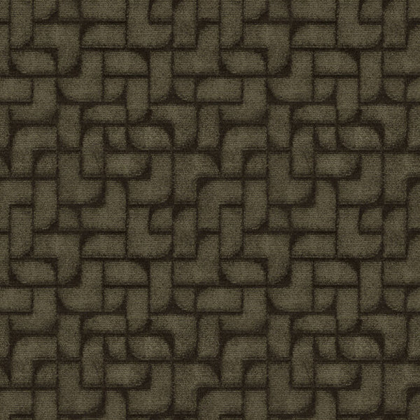 #צבע_888 #צבע_888