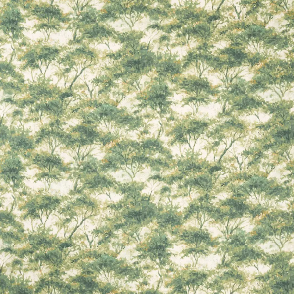 #צבע_CCF0883-01 Forest #צבע_CCF0883-01 Forest