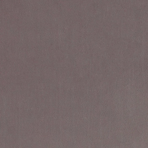 #צבע_F1295-04 Dove #צבע_F1295-04 Dove