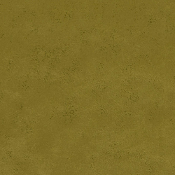 #צבע_F1296-02 CITRUS #צבע_F1296-02 CITRUS