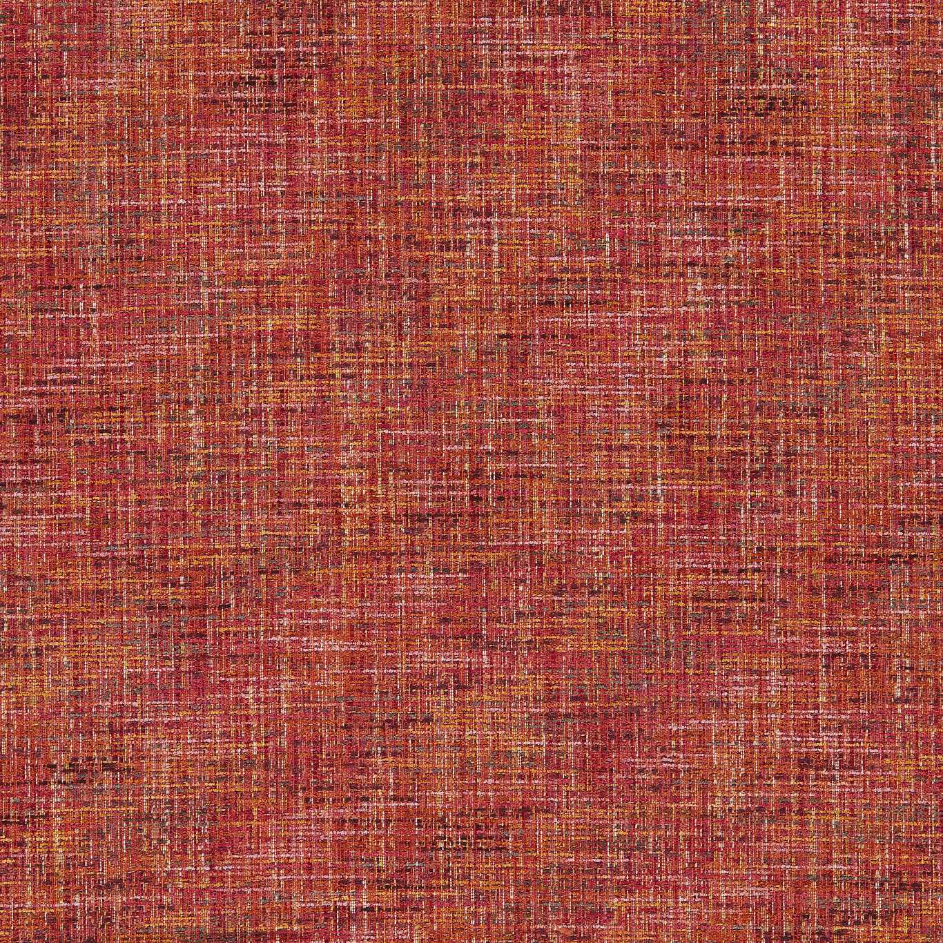 #צבע_13 #צבע_13