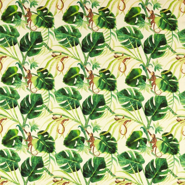 #צבע_F1671-01 NATURAL