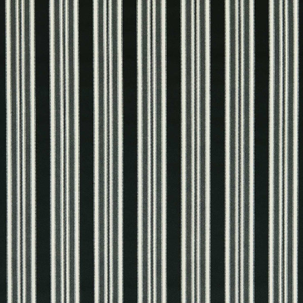 #צבע_F1691 03 EBONY #צבע_F1691 03 EBONY
