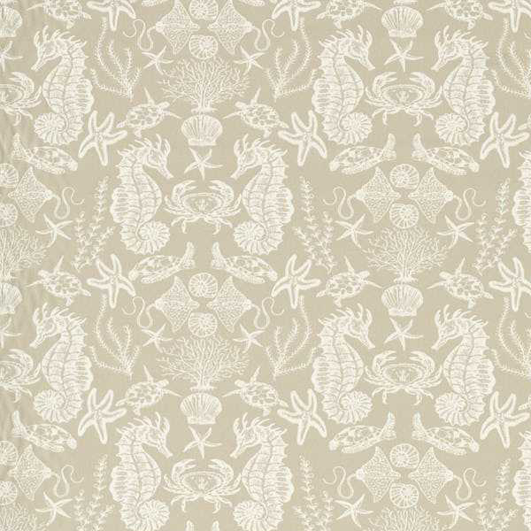 #צבע_02 #צבע_02