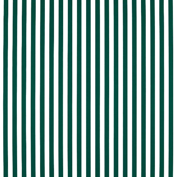 #צבע_03 #צבע_03